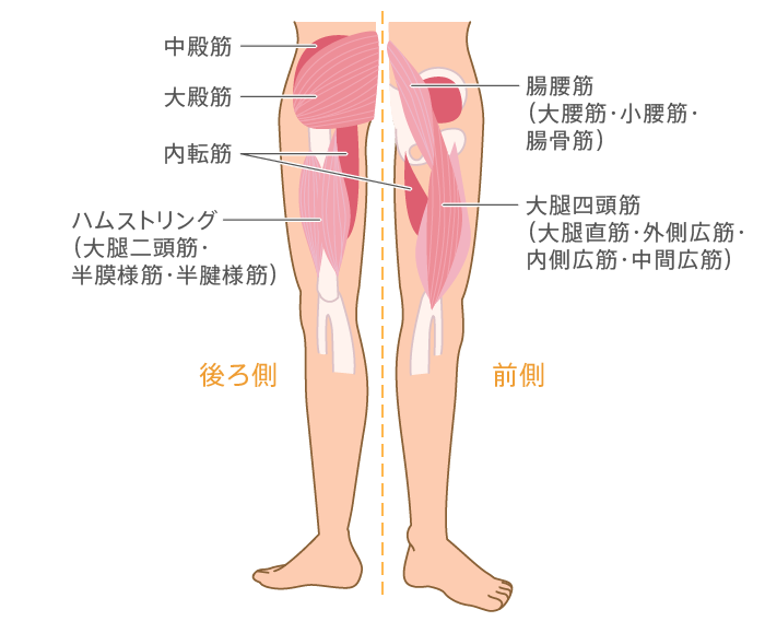 開く 痛い 股関節 と 「股関節の痛み」の対処法&簡単ストレッチの方法！病気の可能性についても