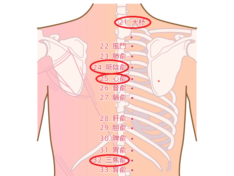 痛い 肋骨 真ん中 おなかのどの辺が痛いですか？痛みの位置で原因がわかるかも。